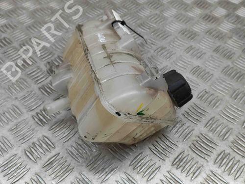 Used Expansion tank RENAULT KANGOO Express (FW0/1_) 1.5 dCi 90 (FW0G, FW05, FW08, FW11) (90 hp) 16140786