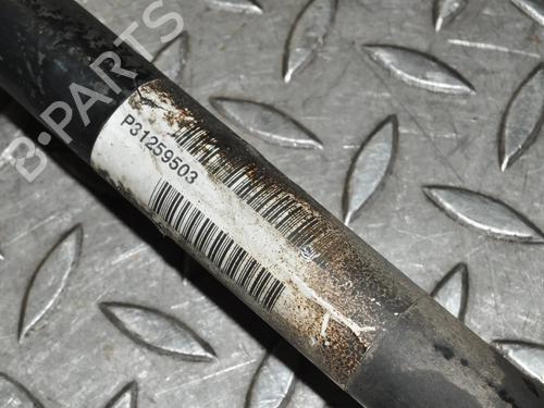  - Image 4