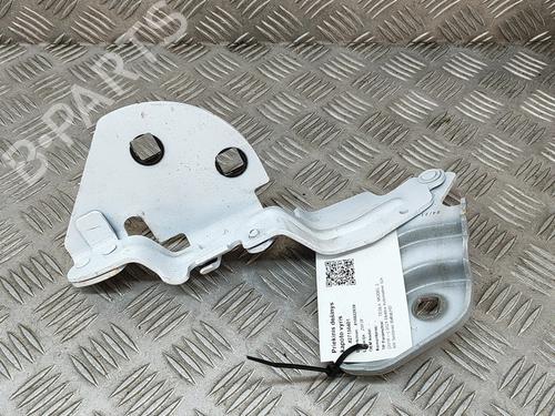 hingedoor-check-strap-tesla-model-3-5yj3-2017-33368431 main image