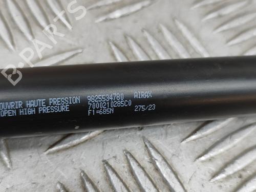 Tailgate lift support PEUGEOT 2008 II (UD_, US_, UY_, UJ_, UR_, UC_) 1.2 PureTech 130 (USHNS, URHNS) | BP28553223C138 