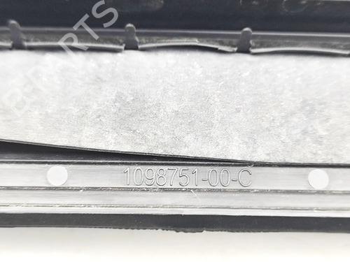 Grill TESLA MODEL 3 (5YJ3) EV | BP34190548C40  - Image 6