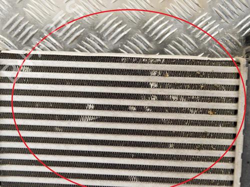 Intercooler NISSAN QASHQAI II (J11, J11_) 1.2 DIG-T | BP6759316M30