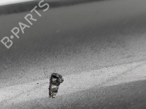 Door moulding trim JAGUAR F-PACE (X761) 2.0 TD4 | BP29830531C150 