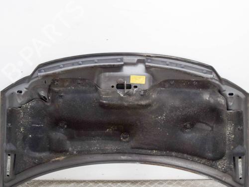Hood CHRYSLER VOYAGER IV (RG, RS) 3.3 | BP10221060C1 