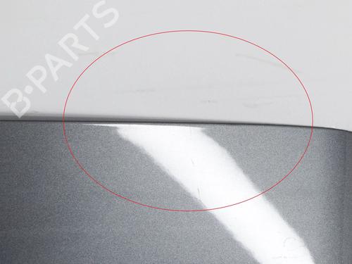 Bagklap CC/Kombi-Coupé NISSAN LEAF (ZE1) Electric | BP29752797C6 