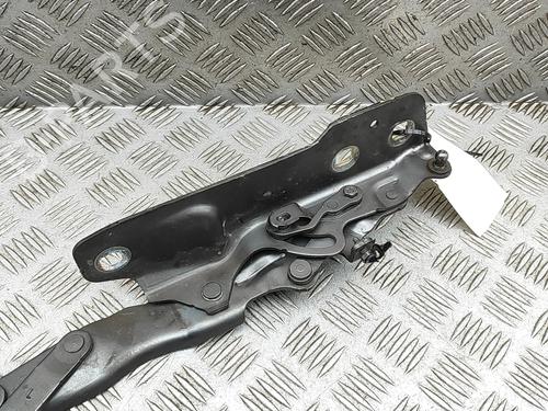 Hinge/Door check strap JAGUAR XE (X760) 2.0 D AWD | BP31360432C146