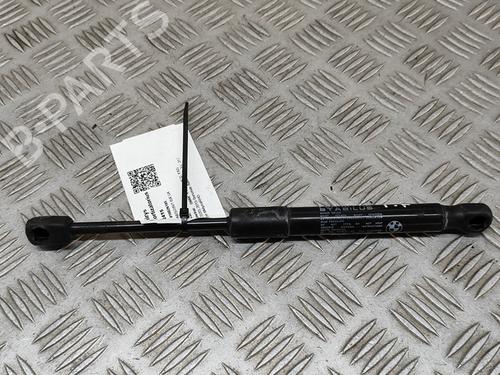 Used Hood lift support BMW 4 Coupe (F32, F82) M4 (431 hp) 26500486