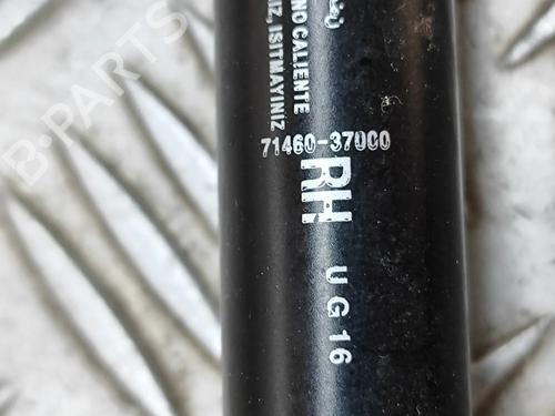 Gasdæmper bagklap SSANGYONG KORANDO (C300) E-Motion | BP27776790C138