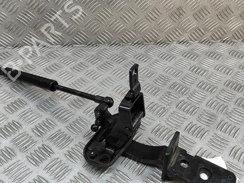 Hinge/Door check strap VOLVO V70 III (135) D5 | BP25788162C146 