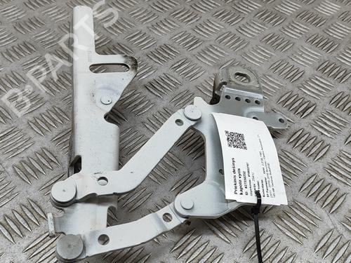 Hinge/Door check strap BMW 3 (F30, F80) 330 e | BP21486472C146 