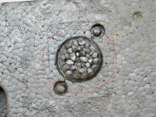 Crossmember MASERATI QUATTROPORTE VI 3.0 D | BP30082249C162 