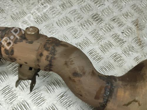 Catalyst SKODA YETI (5L) 2.0 TDI 4x4 | BP31902901M10 