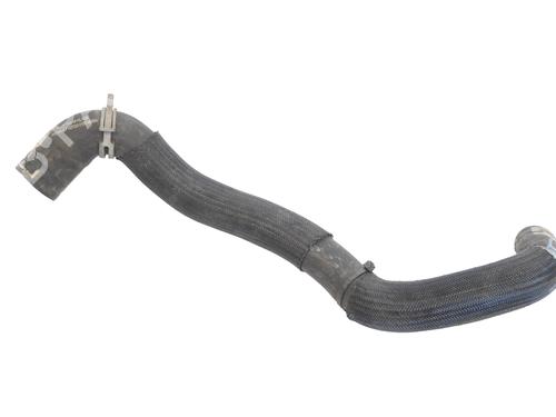 Pipe NISSAN JUKE (F16_) DIG-T 117 | BP31072860M125