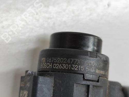 Electronic module PEUGEOT 3008 II SUV (MC_, MR_, MJ_, M4_) 1.6 BlueHDi 120 | BP25219188M83 
