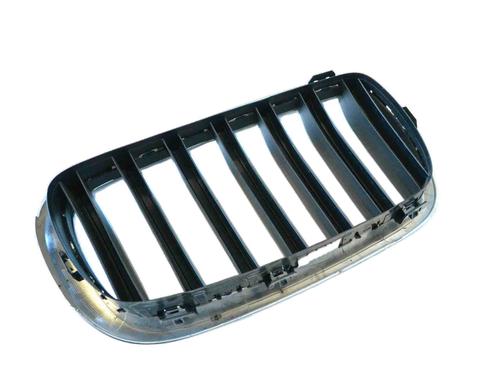 Grille BMW X5 (G05, F95) xDrive 30 d | BP30242790C40 