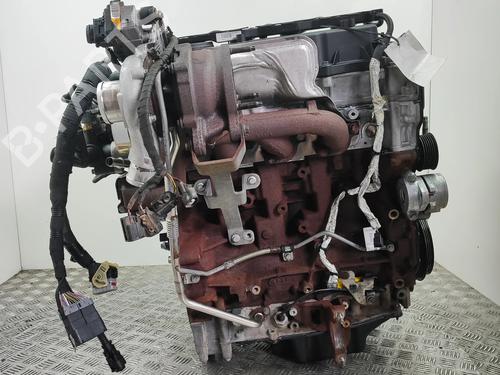 Engine FORD TRANSIT CUSTOM V362 Bus (F3) 2.2 TDCi | BP37029298M1 - Image 4