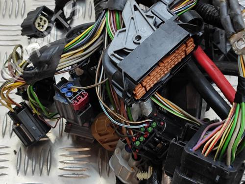 Wiring harness JAGUAR XJ (X351) 3.0 SCV6 | BP19501496E16 