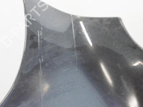 Hood JAGUAR S-TYPE II (X200) R 4,2 V8 | BP6749719C1 