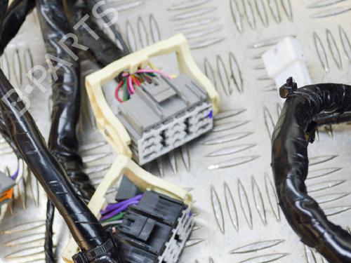 Wiring harness TESLA MODEL S (5YJS) P85 | BP14617919E16 