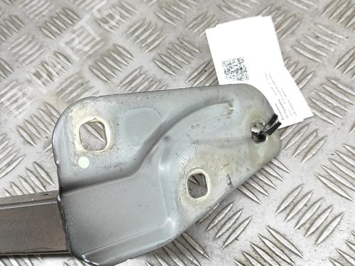 Hinge/Door check strap JAGUAR XF II (X260) 2.0 D | BP27158307C146 