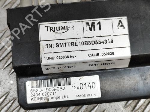 Other TRIUMPH MOTORCYCLES TIGER ( -999cc) Tiger 800 | BP28565592O1