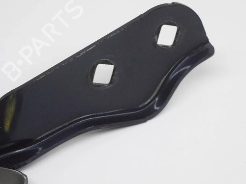 Hinge/Door check strap TESLA MODEL 3 (5YJ3) EV | BP27748944C146 