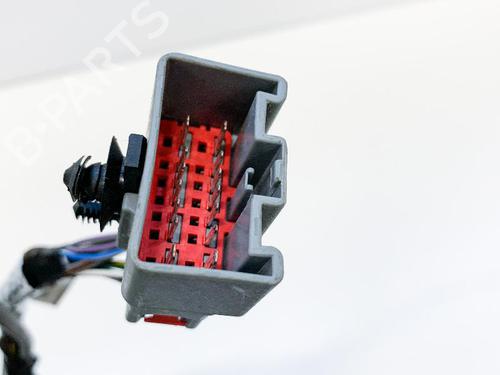 Wiring harness JAGUAR F-TYPE Convertible (X152) 5.0 SCV8 S | BP14610919E16 