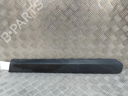 Used Door moulding trim FIAT DOBLO Bus (263_) 1.3 D Multijet (263AXC1A) (90 hp) 25787106