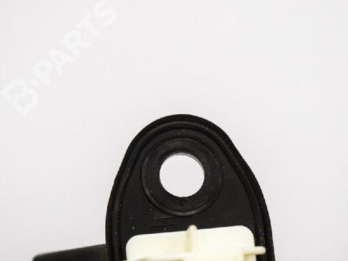 Tailgate handle TOYOTA RAV 4 IV (_A4_) 2.5 Hybrid (AVA42_) | BP9511679C132 