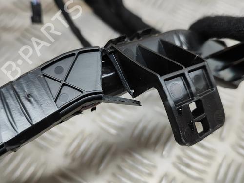 Ledningsnet TESLA MODEL 3 (5YJ3) EV | BP30620594E16 