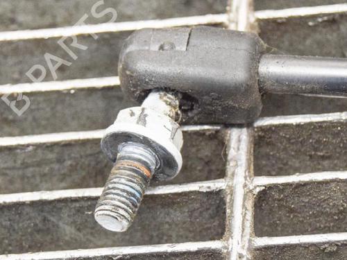 Hood lift support LAND ROVER RANGE ROVER EVOQUE (L538) 2.0 D | BP14618908C139 