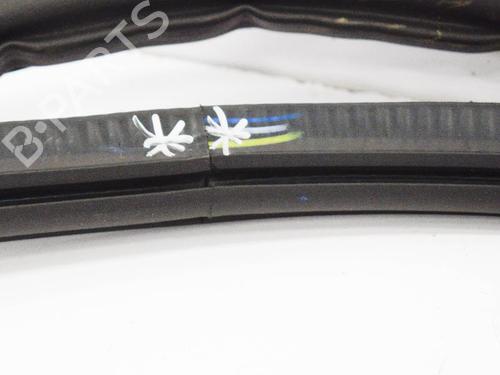 Rubber door seal AUDI Q5 (FYB, FYG) 3.0 TDI quattro | BP14666011C142