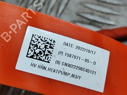 Wiring harness TESLA MODEL Y (5YJY) EV Rear-Wheel Drive | BP31297016E16 