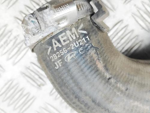 Pipe KIA OPTIMA Sportswagon (JF) 1.6 CRDi | BP35984236M125  - Image 6