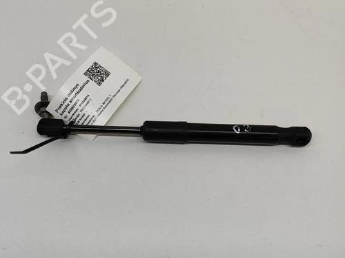 Used Hood lift support TESLA MODEL Y (5YJY) EV Rear-Wheel Drive (299 hp) 31297031
