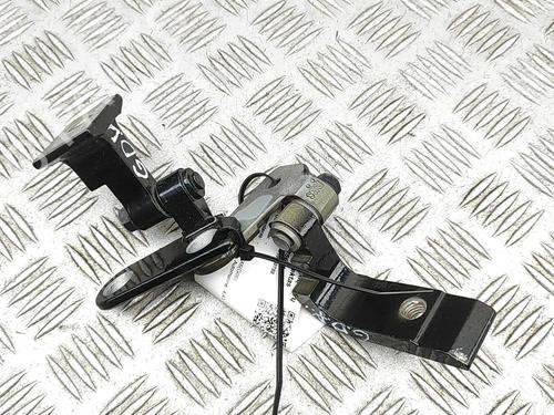 Used Hinge/Door check strap Hinge/Door check strap BMW X6 (G06, F96) M (600 hp) 32973927 32973927