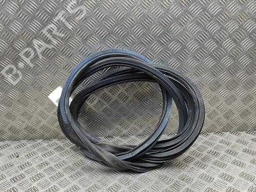 Used Rubber door seal OPEL VIVARO C Van (K0) 2.0 (122 hp) 30004838