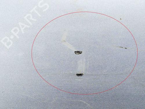 Left front door AUDI A6 C6 (4F2) 3.0 TDI quattro | BP30130448C2 