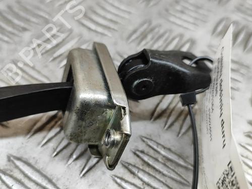 Hinge/Door check strap NISSAN QASHQAI II (J11, J11_) 1.2 DIG-T | BP23247895C146