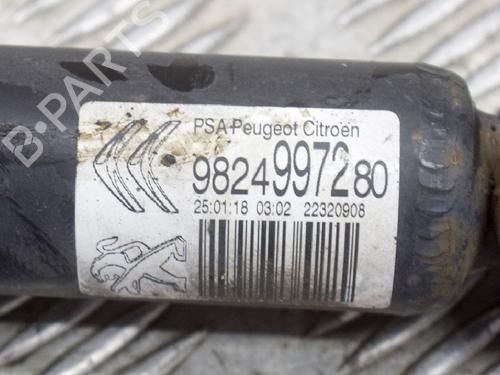 Left rear shock absorber CITROËN C3 / C3 ORIGIN III (SX) 1.2 VTi 82 | BP6769078M18 