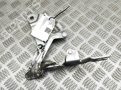 Hinge/Door check strap BMW X3 (F25) xDrive 20 d | BP29310446C146 