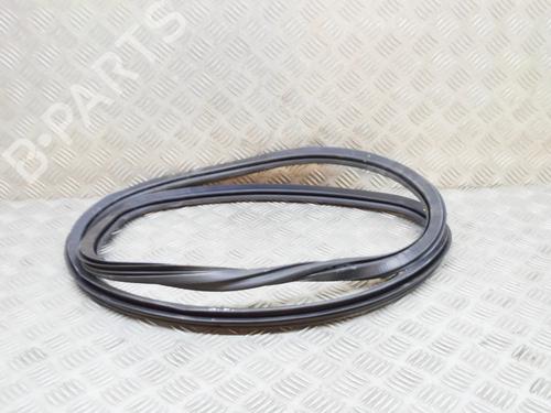 Gummiliste Gummiliste AUDI A3 Sportback (8VA, 8VF) RS3 quattro (400 hp) 14655160 14655160