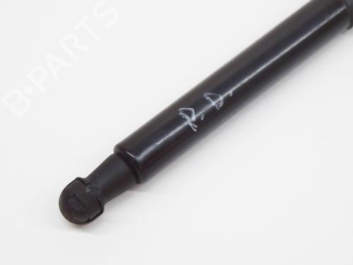 Hood lift support AUDI Q5 (8RB) SQ5 TDI quattro | BP14615925C139 