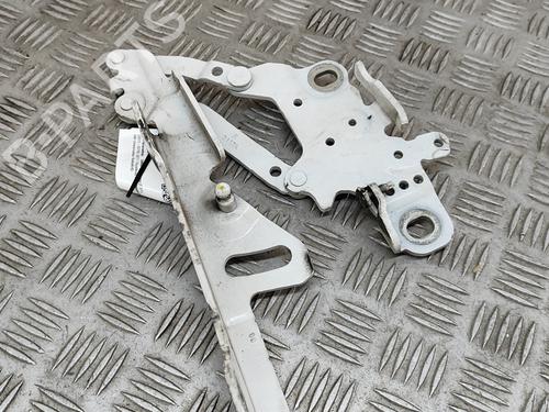 Hinge/Door check strap BMW 3 Touring (F31) 335 d xDrive | BP26239879C146