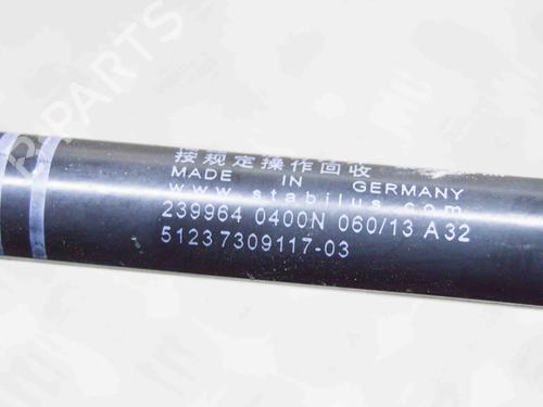 Hood lift support BMW 6 Coupe (F13) 640 d | BP14647149C139