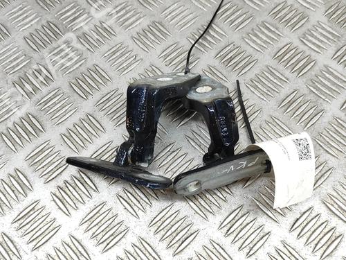 Hinge/Door check strap JAGUAR F-TYPE Coupe (X152) 3.0 SCV6 | BP22998441C146