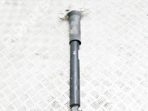 Used Left rear shock absorber Left rear shock absorber JAGUAR F-PACE (X761) 2.0 TD4 AWD (180 hp) 9166670 9166670