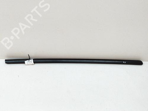 Moldura de la puerta TESLA MODEL Y (5YJY) EV Performance All-wheel Drive (534 hp) 31314666