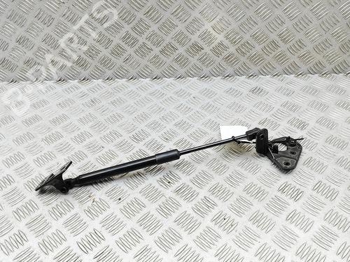 hood-lift-support-tesla-model-3-5yj3-2017-33697619 main image