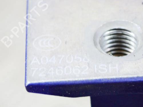 Hinge/Door check strap BMW 3 (G20, G80, G28) 330 e Plug-in-Hybrid xDrive | BP28430414C146 